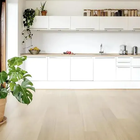 公寓 Modern Chic Cph 哥本哈根